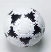 大连球队换,正式更名为,大连人职业,英超足球买球网,英超买球网官网,英超买球网站官网入口,英超足球压球买球站