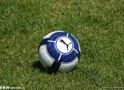 英超足球买,球网,产品,英超足球买球网,英超买球网官网,英超买球网站官网入口,英超足球压球买球站