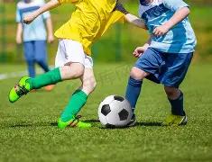 钱包,糖果,英超足球买球网,英超足球买球网,英超买球网官网,英超买球网站官网入口,英超足球压球买球站